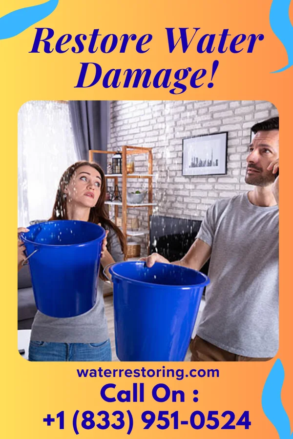 water restoration Elite Flood Mitigation Services Bancroft