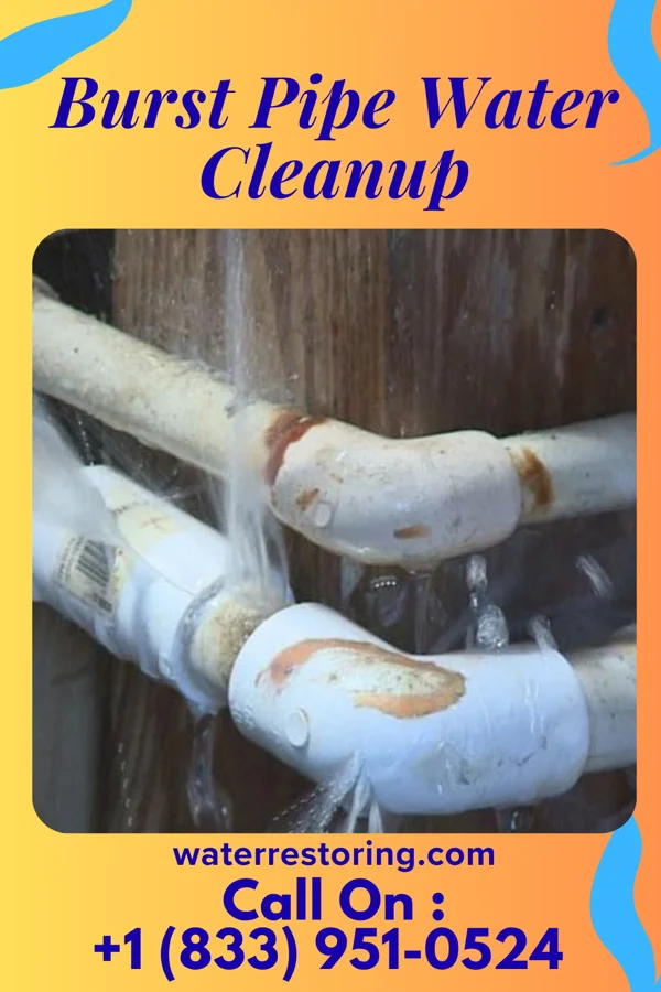Burst Pipe Water Cleanup in Bancroft, KY