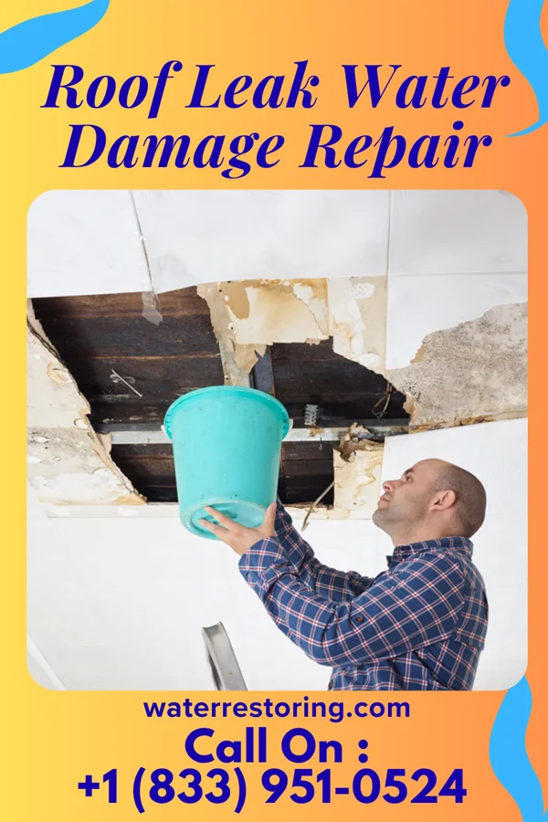 Roof Leak Water Damage Repair in Bancroft, KY