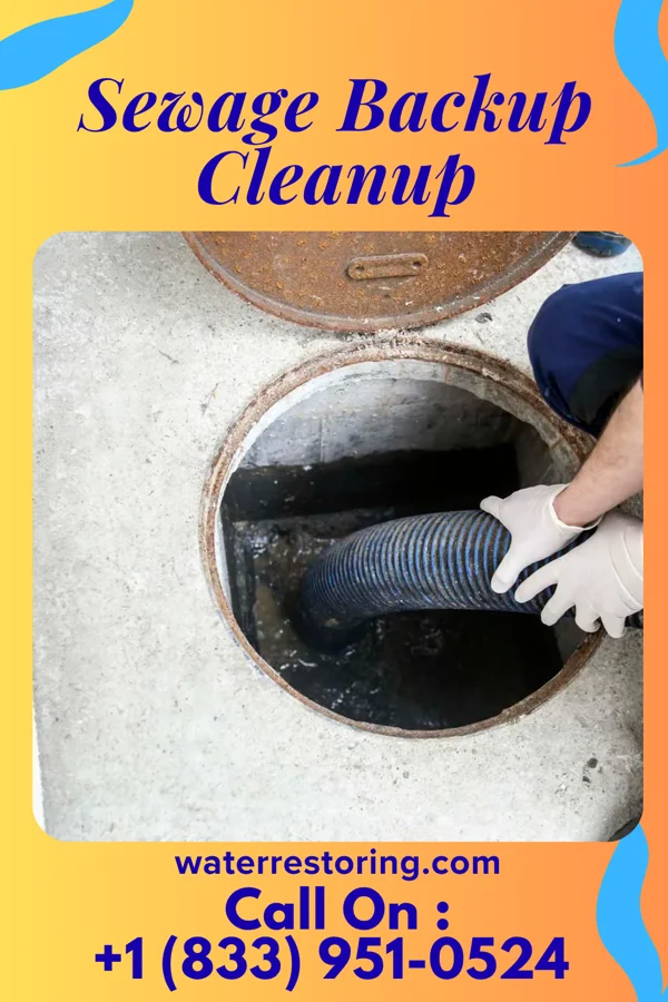 Sewage Backup Cleanup in Bancroft, KY