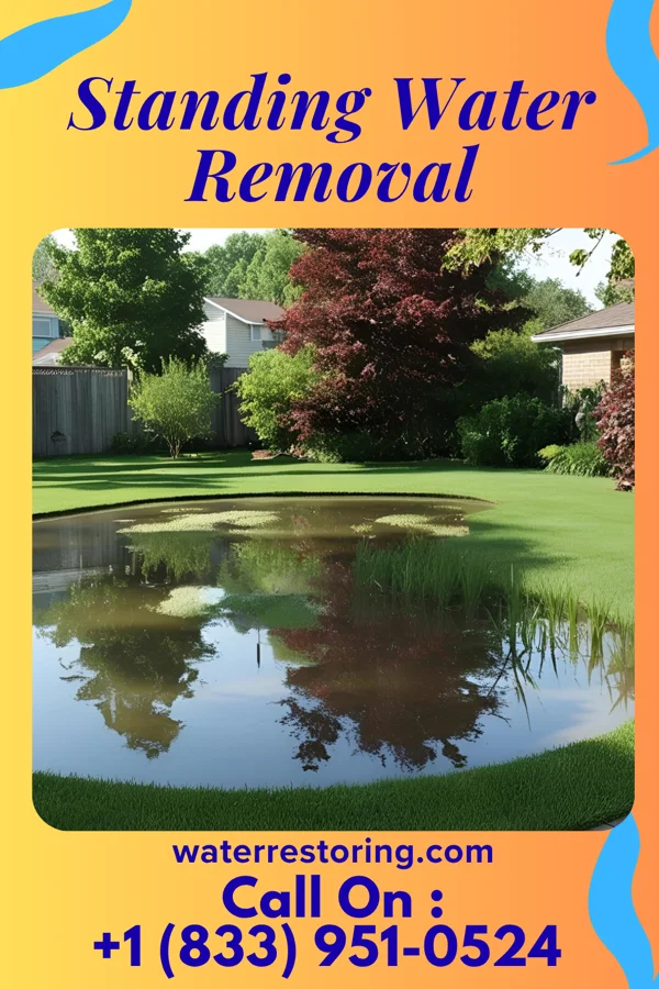Standing Water Removal in Bancroft, KY
